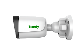 TC-C34QN Spec:I5W/E/Y/2.8mm/V4.2 Видеокамера Tiandy